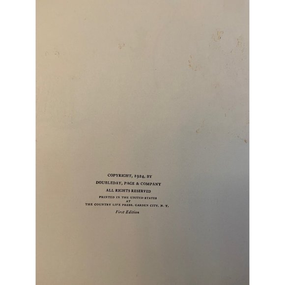 RARE⭐️Clown Town ⭐️by Dixie Willson 1924 pictures by Eick Berry HB - Picture 4 of 12